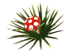 Champignon Et Feuille De Houx (x 100) - Décoration Gâteau - Mallard Ferrière