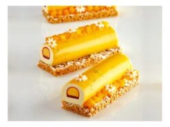 Moule Silicone Pavoflex - 5 Bûchettes - 60 X 40 Cm - Pavoni